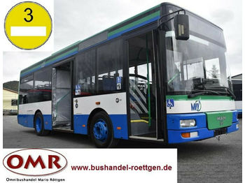 Gradski autobus MAN A 76 / A 47 / A 66 / O 530 / Midi: slika 1