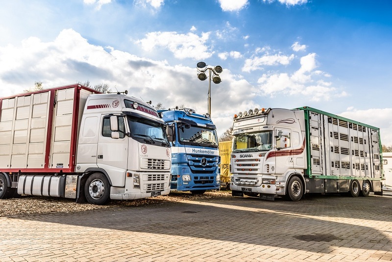 WS Trucks GmbH - Poljoprivredne mašine undefined: slika 1